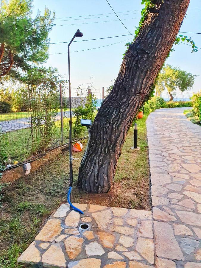 Makis&Fani Homes Agios Ioannis  Exteriér fotografie